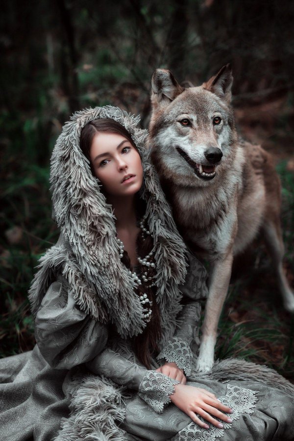 фотосессия с волками