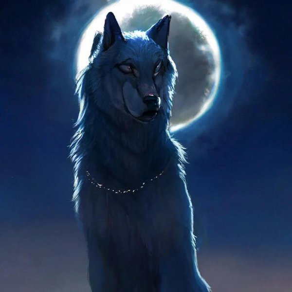 волки ночью