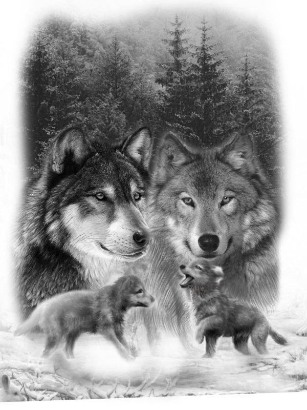 волки тату эскизы