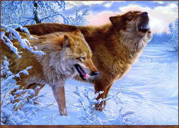 волки картина