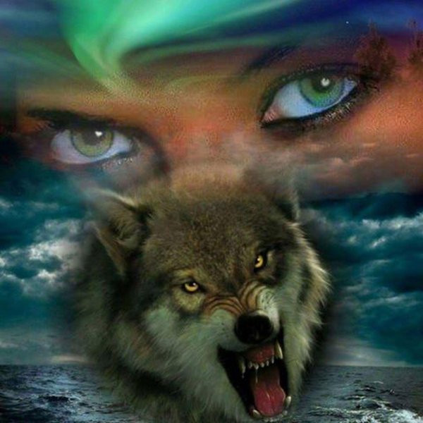 морда волка оскал