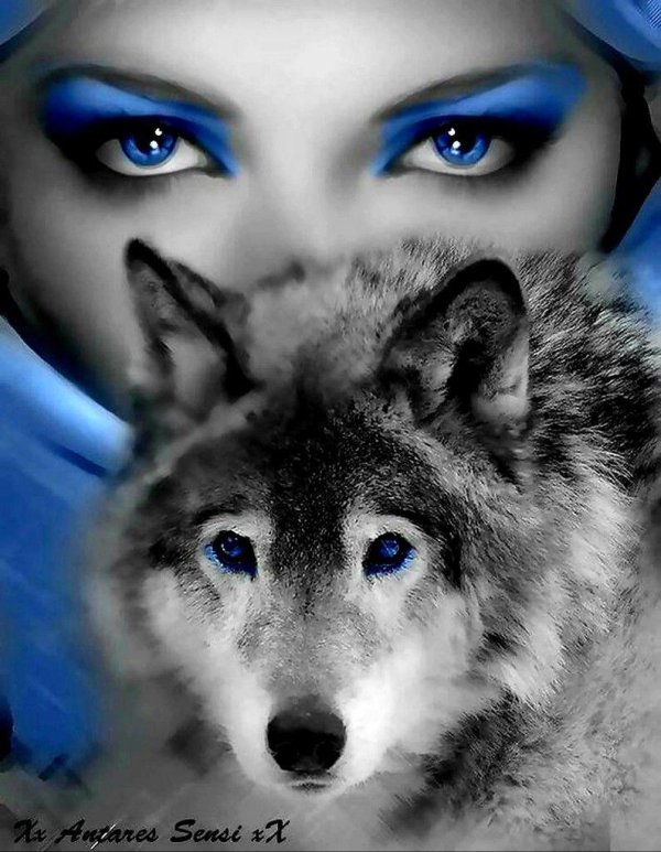 нежный взгляд волчицы