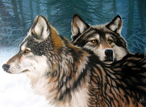 картина по номерам волчья верность