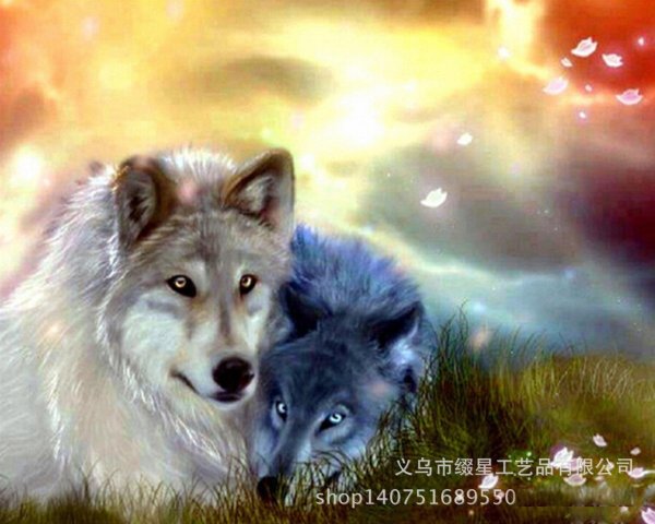 волки любовь