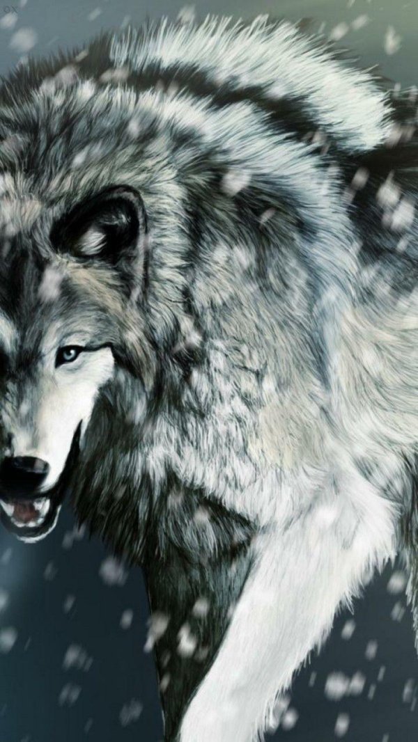 волки крутые