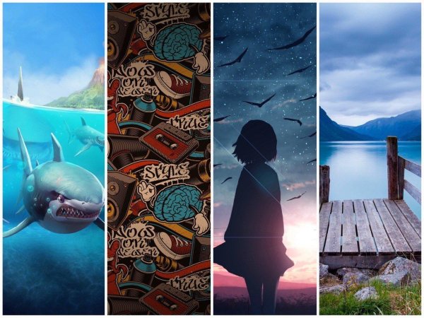 игра hungry shark