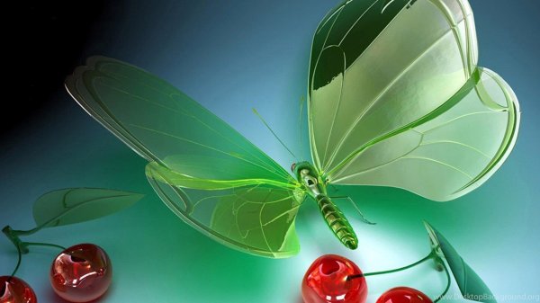 зеленая бабочка