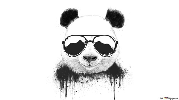 крутая панда