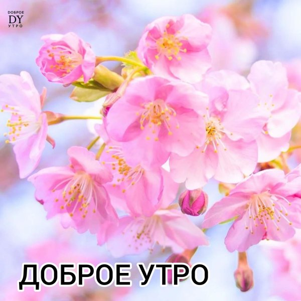 доброго утра весна