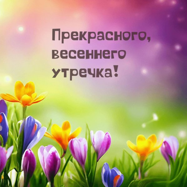 весеннее утро