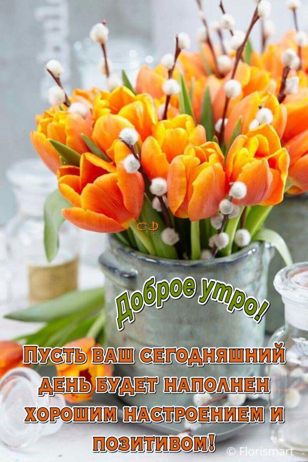 весна доброе утро