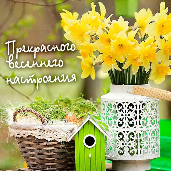 весенние композиции