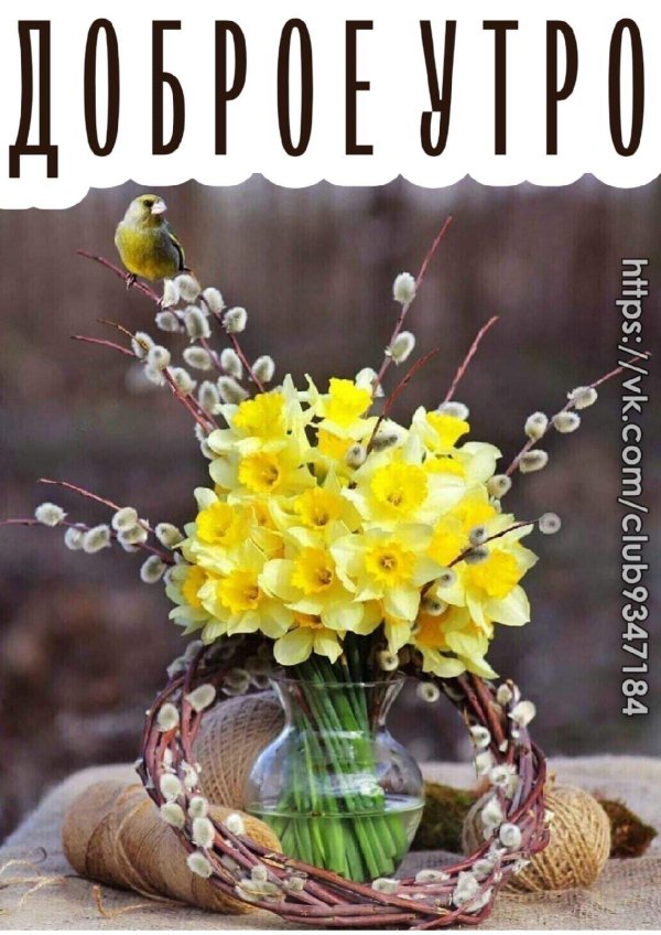 доброго весняного ранку