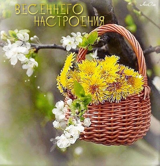 букет одуванчиков