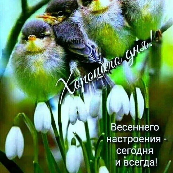 доброго утра весеннего настроения