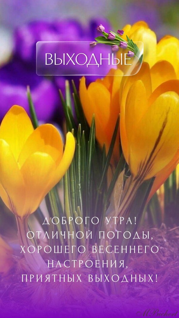 хороших выходных доброе