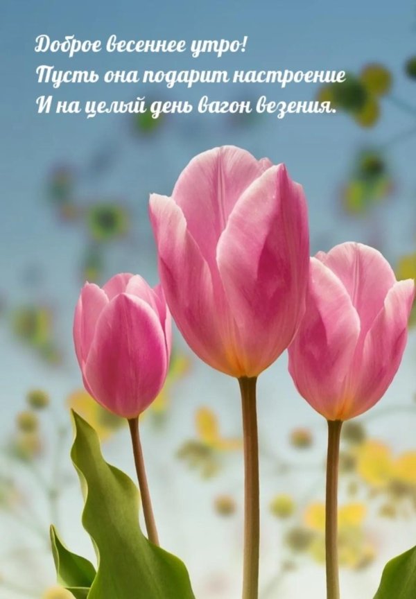 доброе утро красивые весенние
