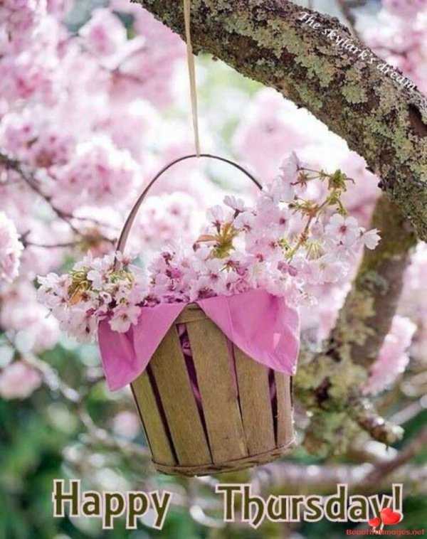 самого прекрасного утра