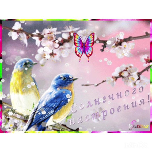 весенний день