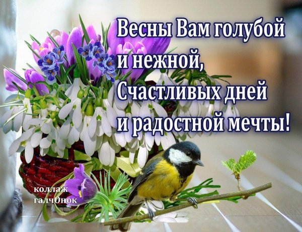 весны вам радостной и нежной