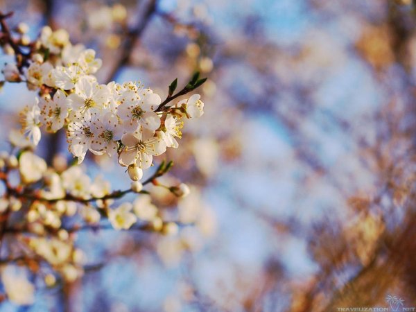 хорошей весны