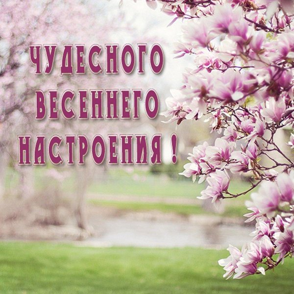 отличного весеннего настроения