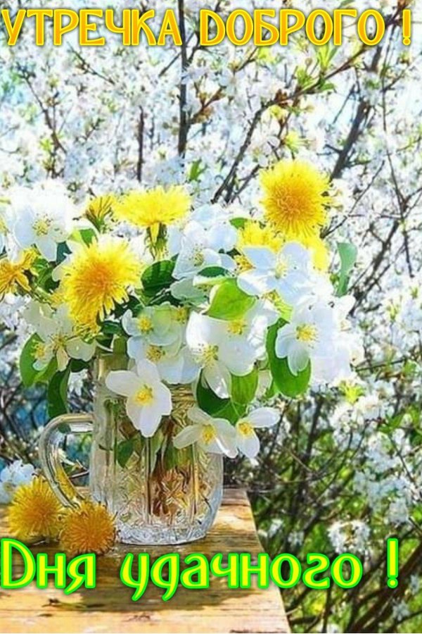 летние цветы