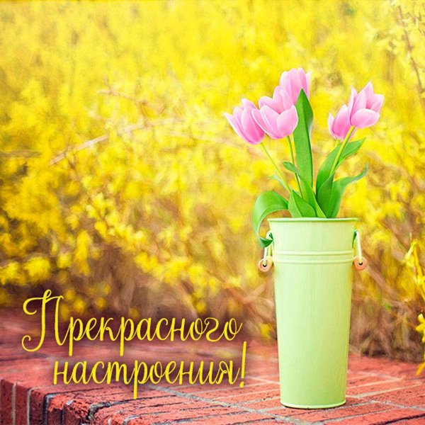 хорошей весны