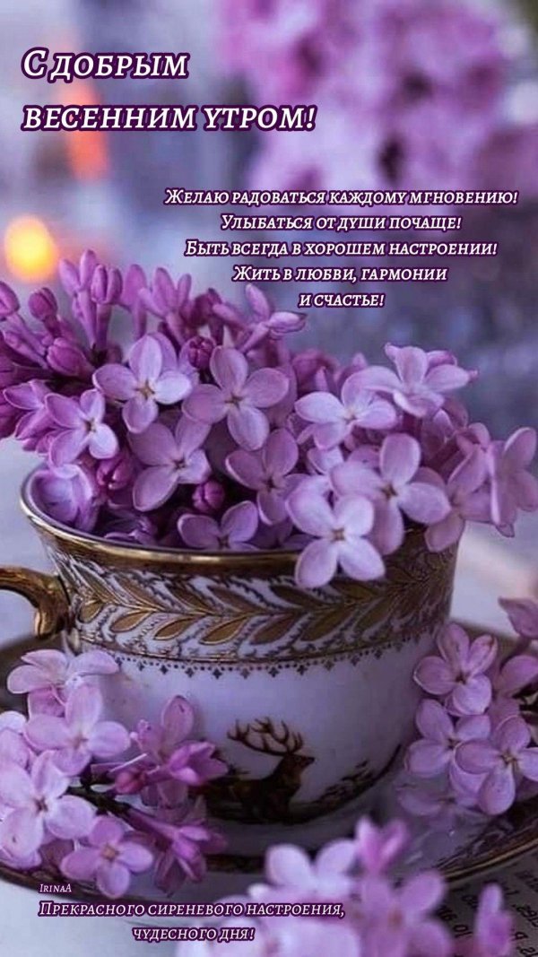 сиреневое настроение