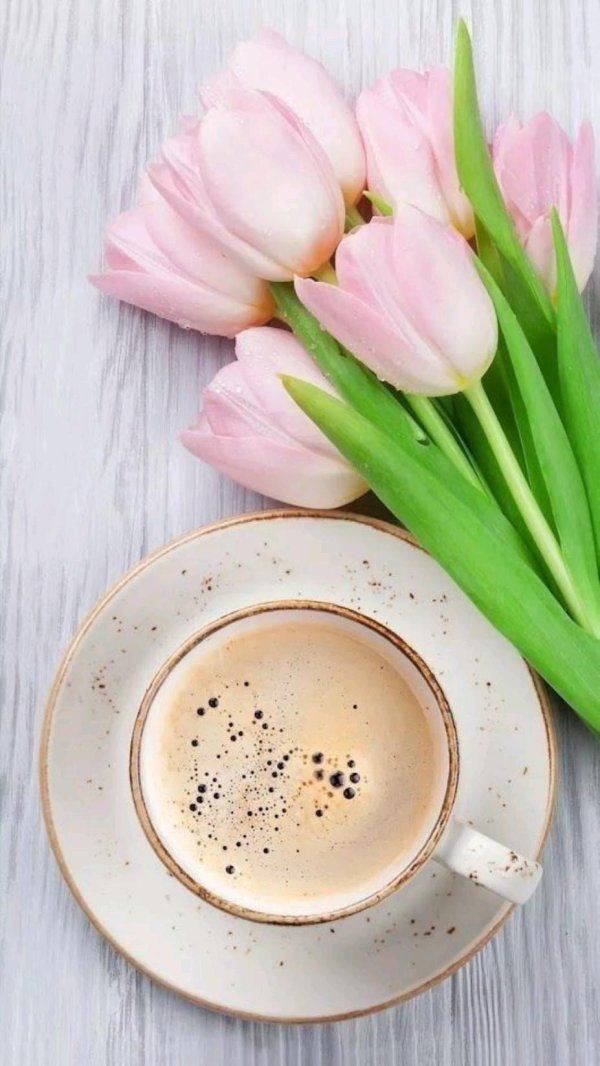 утренние тюльпаны