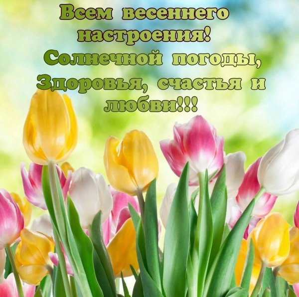 весна тюльпаны