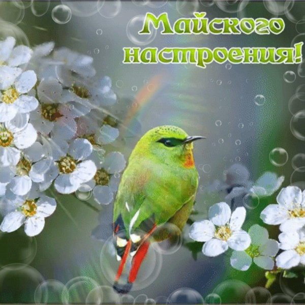 весеннего воскресенья