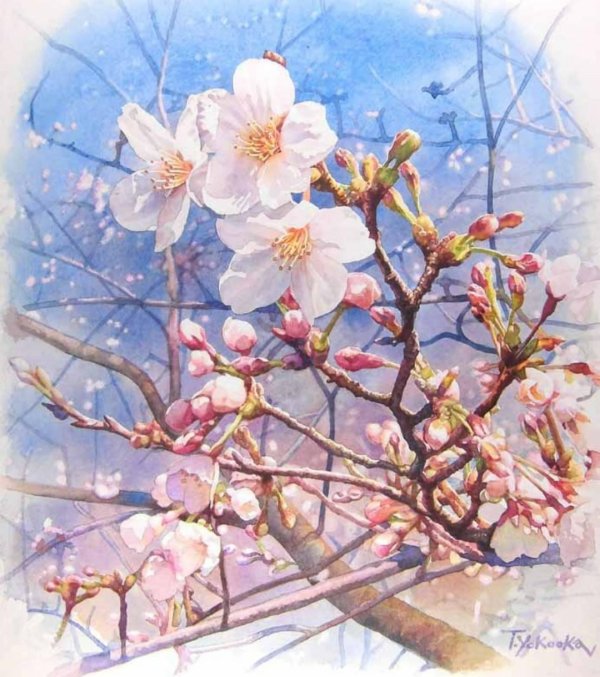 акварели takumi yokooka