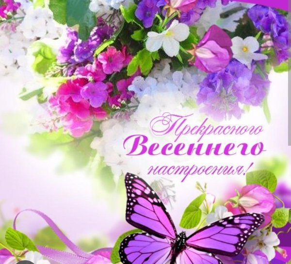 розовая бабочка