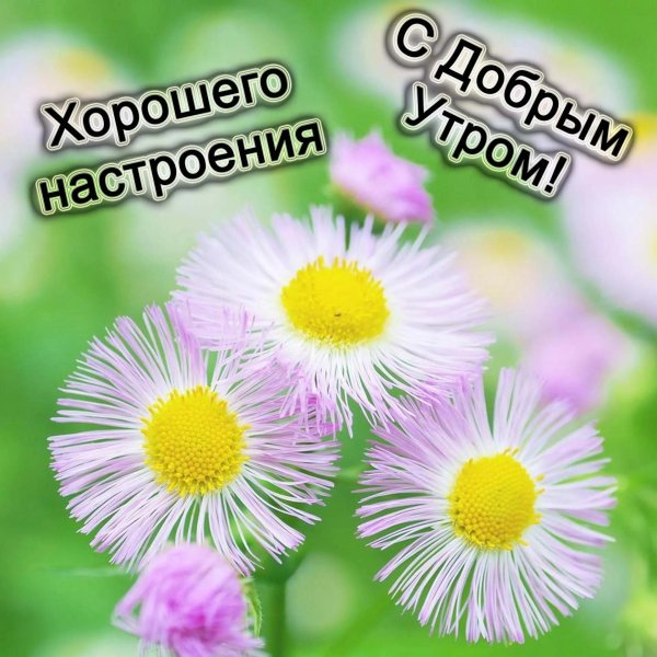 хорошего настроение