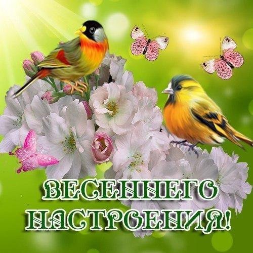 открытка весенняя