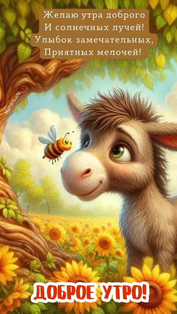 доброе утречко 2024
