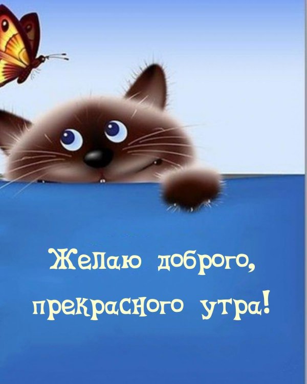 открытки с добрым утром прикольные для поднятия настроения