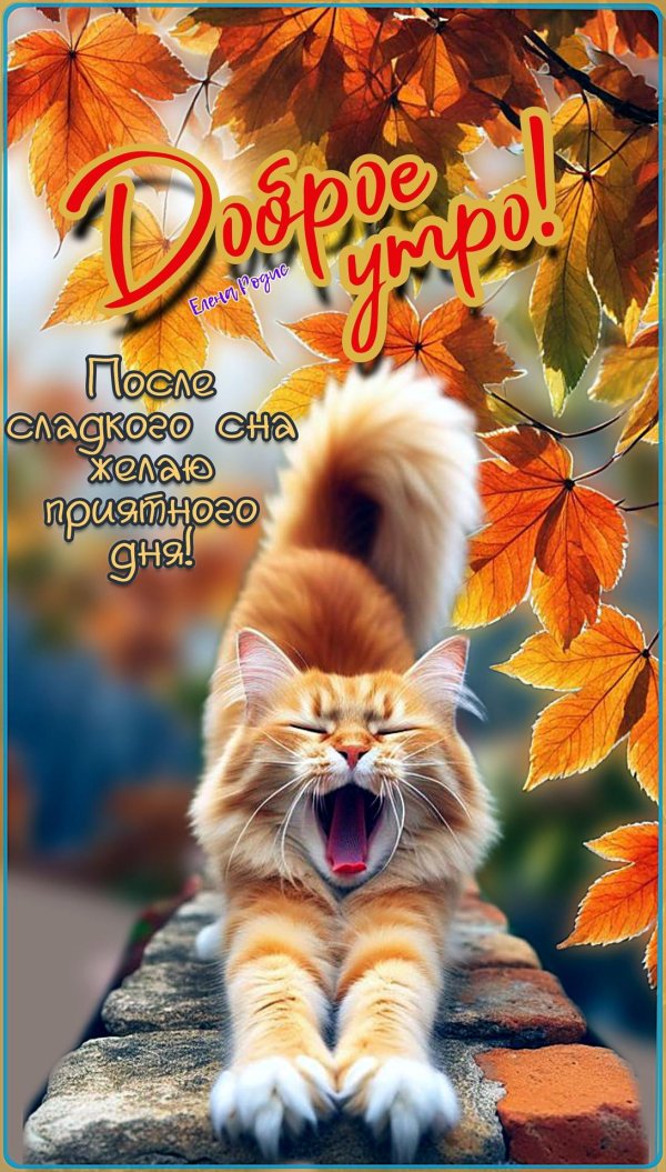 Доброе утречко позитивные