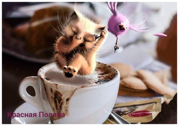 позитивного утра