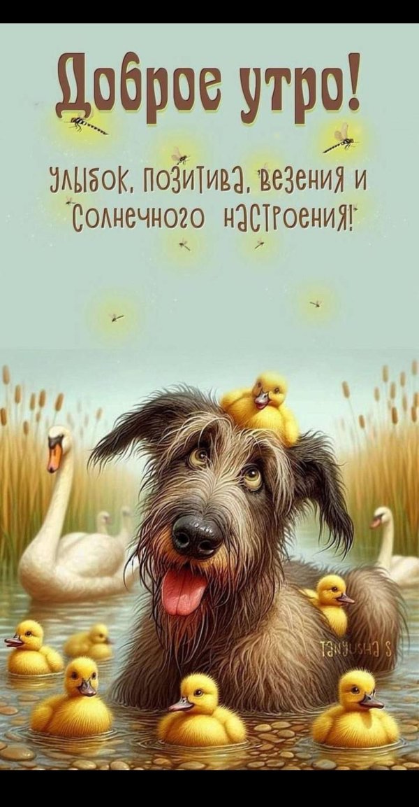 животные забавные