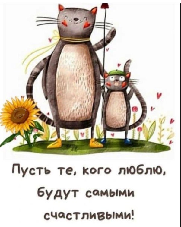 веселые высказывания