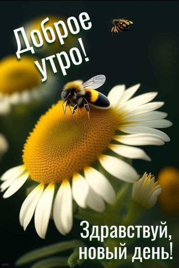 позитивного утра