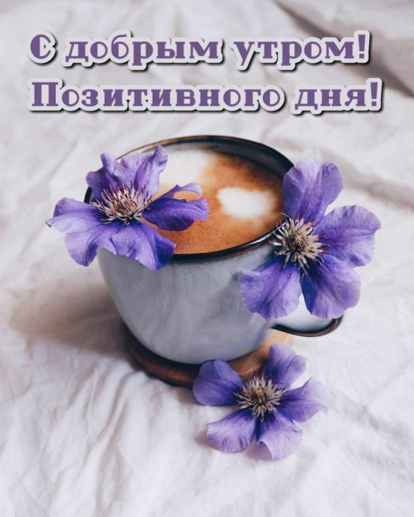 доброго светлого утра