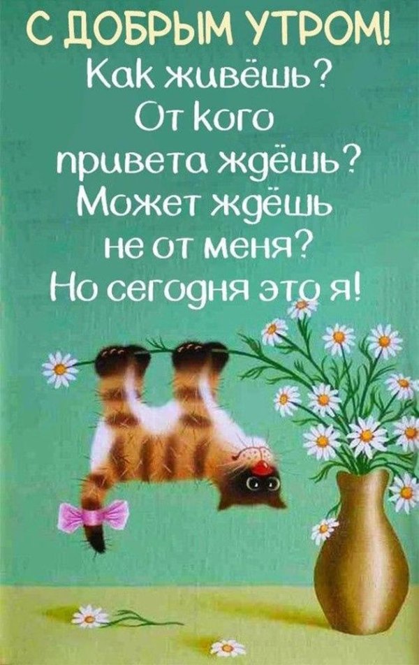 доброе утро хорошего дня веселые