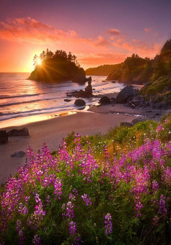 красивые рассветы