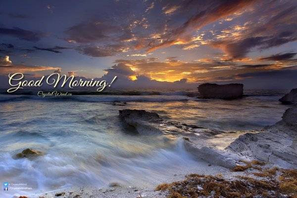 good morning good morning