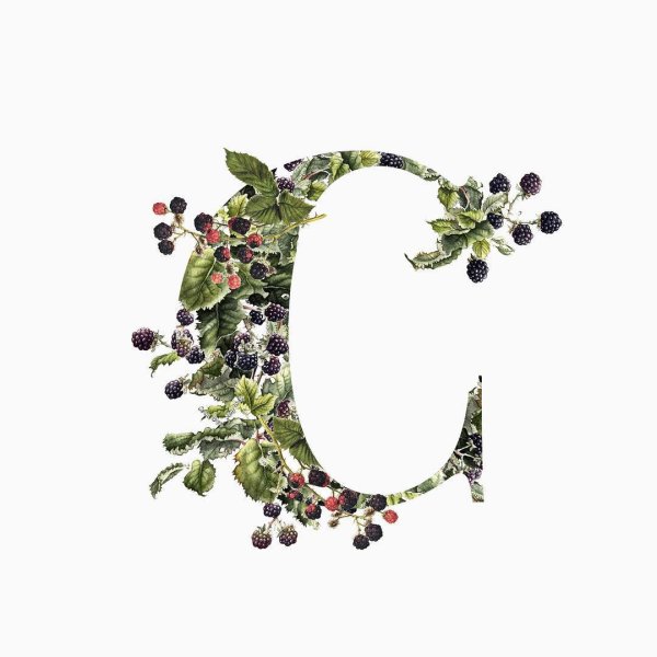 необычные буквы русского алфавита