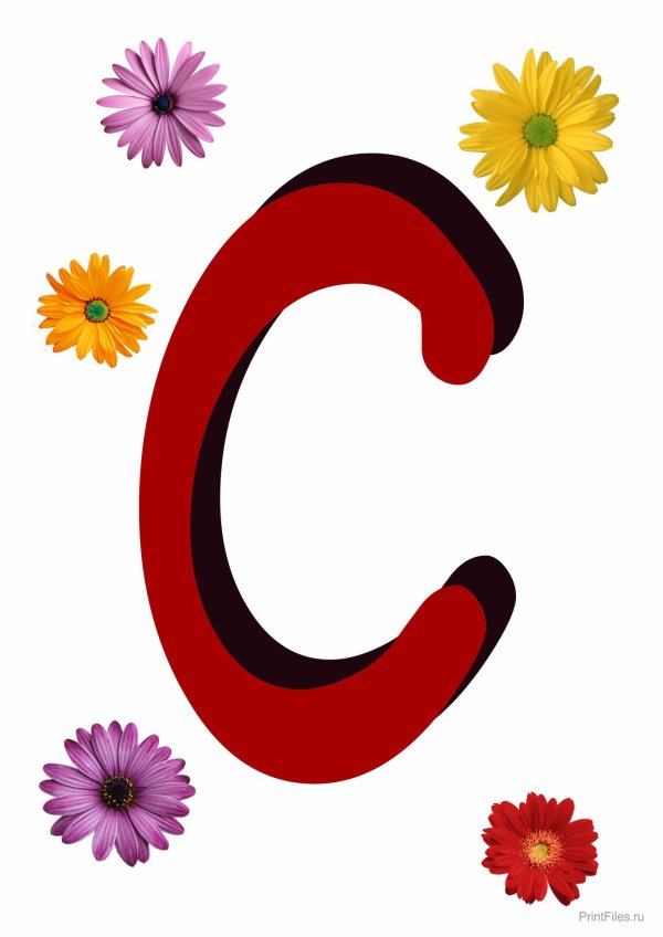 буквы цветы
