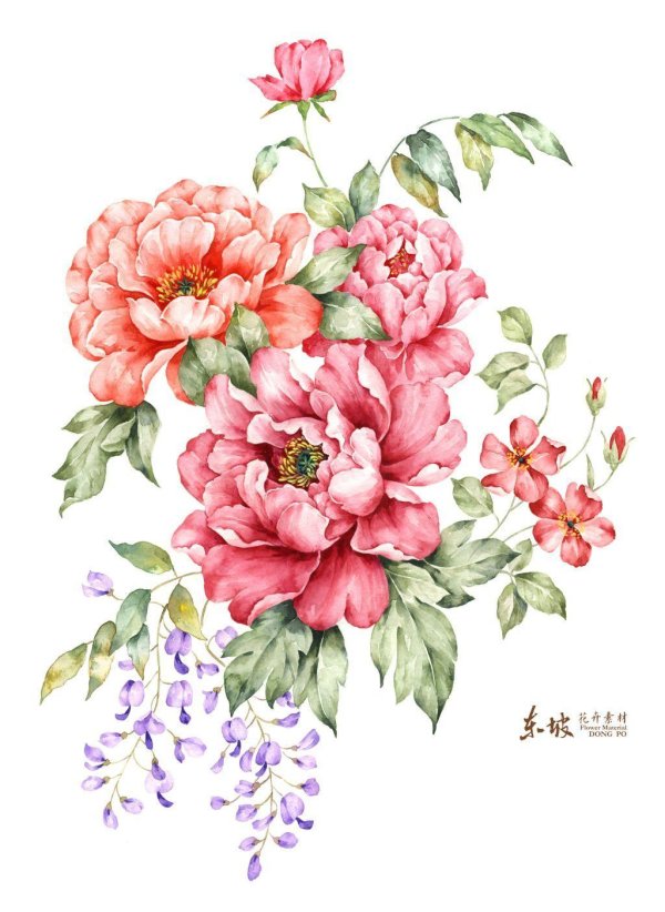 цветочный рисунок